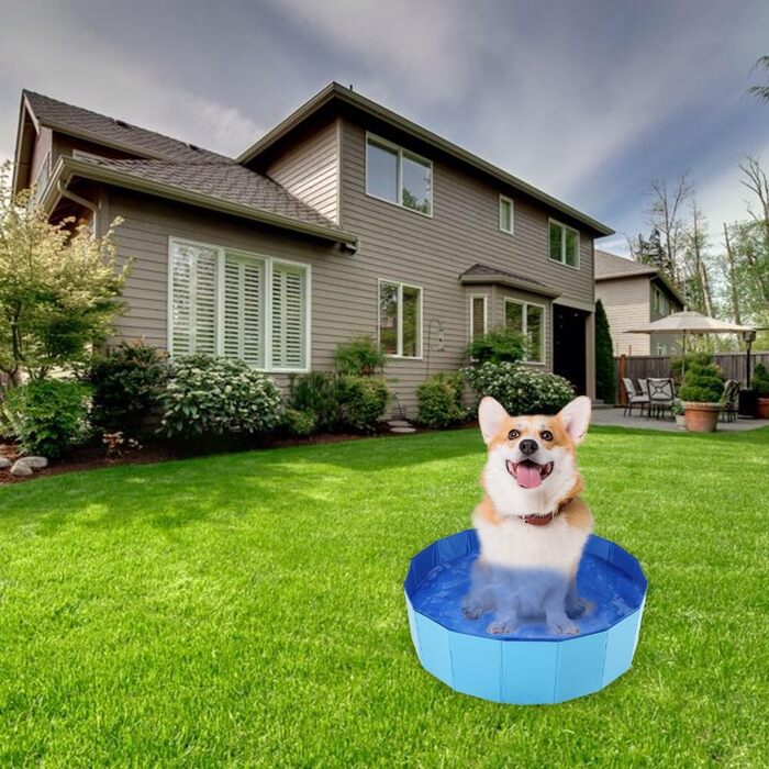 Надувний басейн для собак, 50 x 10 см. Зручний, портативний, для літнього відпочинку вашого улюбленця