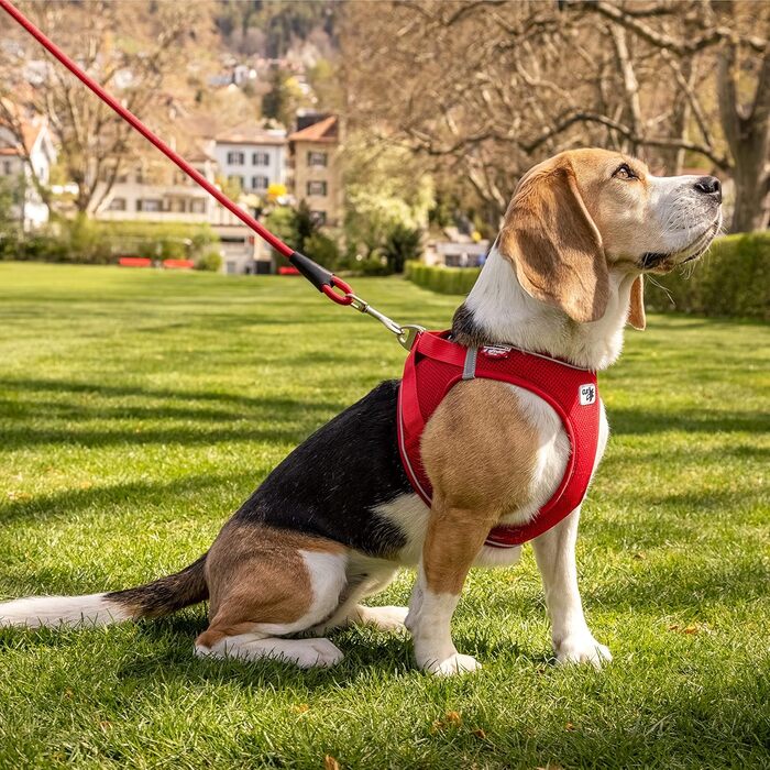 Шлейка для собак Curli Clasp Air-Mesh (Червоний, XS, в смужку)