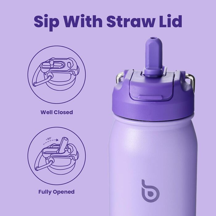 BOTTLE BOTTLE Stainless Steel Water Bottle 24oz (709ml) with Straw Handle and Pill Compartment for Outdoor School, Insulated Sports Bottle (Violet)