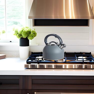 Чайник OGGI для плити, 1.9 л, нержавіюча сталь, з гучною свистком, ідеальний для приготування гарячої води