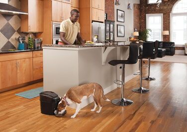 PetSafe® SmartFeed 2.0 - Автоматична годівниця для собак та котів