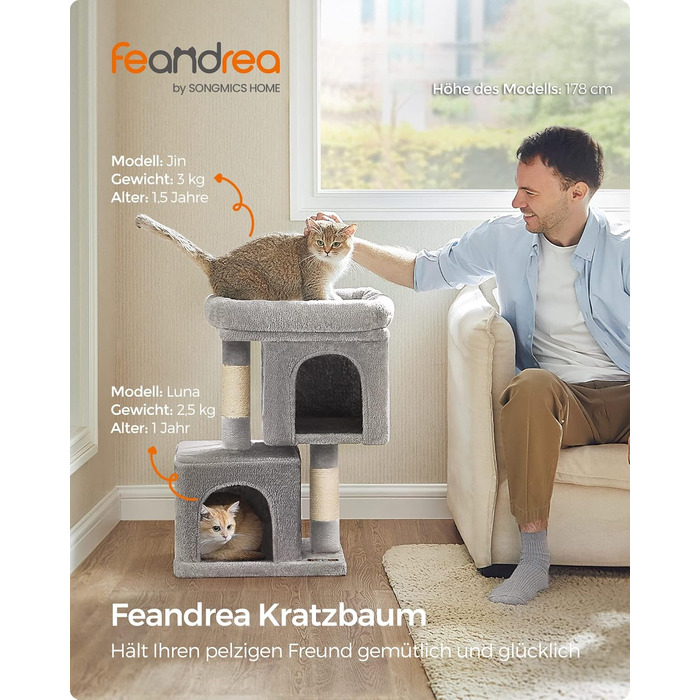 Feandrea Cat Tree Small, 67 cm Cat Tree, Kitten House for Kittens up to 3 kg, Large Platform, Sisal Posts, Light Grey PCT611W01