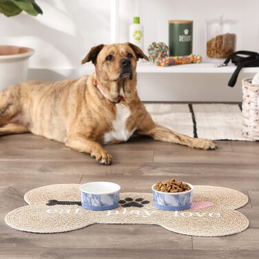 Набір мисок для тварин Bone Dry Ceramic Collection, кераміка, блакитний, маленький, 2 шт.