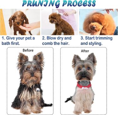 Набір ножиць для грумінгу собак та котів: професійний інструмент для догляду за шерстю