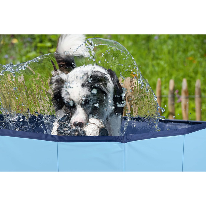 maxxpro Dog Pool - 160 x 30 cm - Suitable for Large Dog Breeds - Foldable - Non-Slip Bottom - with Drain Valve - Blue