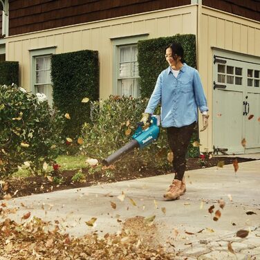 Makita DUB184Z 18V Cordless Blower (without battery, without charger), Petrol, 1
