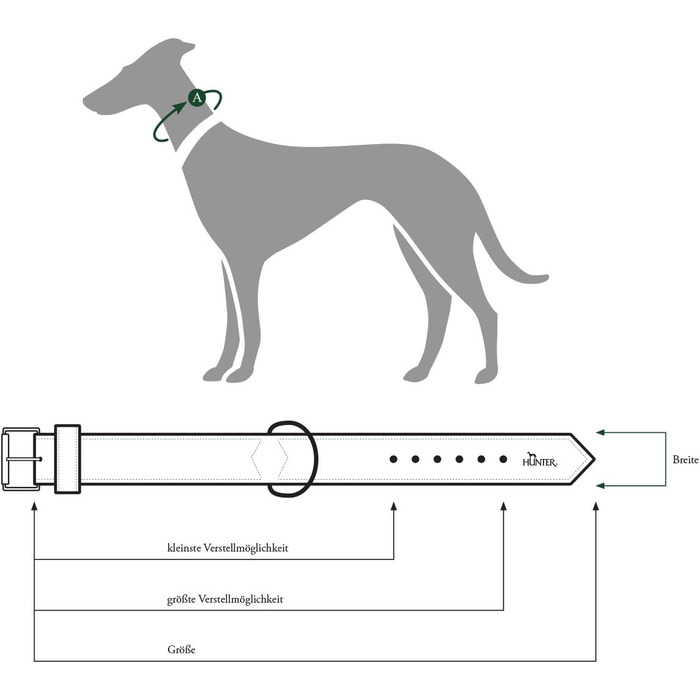 Нашийник для собак HUNTER PORTO, шкіряний, колір: коньячний, ручної роботи