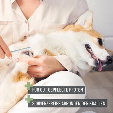 Ножиці ReaVET для обрізання кігтів собак та котів - з пилочкою та упором | Нержавіюча сталь | Інструмент для догляду за кігтями