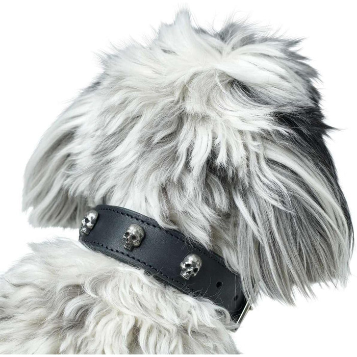 Нашийник для собак HUNTER Tijuana, чорний, з натуральної шкіри, ручної роботи, з декоративними черепами, розмір 55