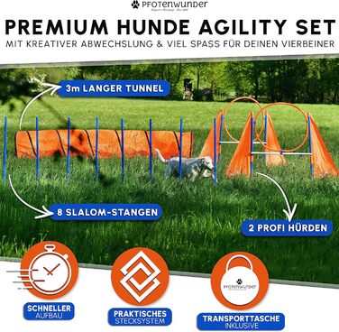 Набір для аджиліті для собак XXL-Profi: 6 стабілометрів, тунель 3 м, аксесуари для тренувань, для великих та малих собак