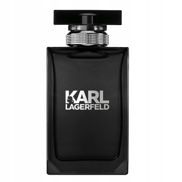 Чоловіча туалетна вода Karl Lagerfeld Pour Homme, 100 мл