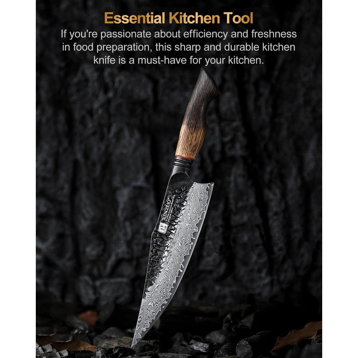 Ніж кухарський XINZUO 21.9 см з дамаської сталі, 67 шарів, професійний, з ергономічною ручкою з білої бука, серія Mo