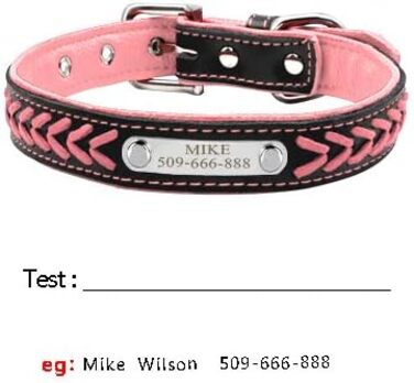 Шкіряний нашийник для собак та котів Berry з регулюванням та іменником, Rosa (L: 37-47 см)