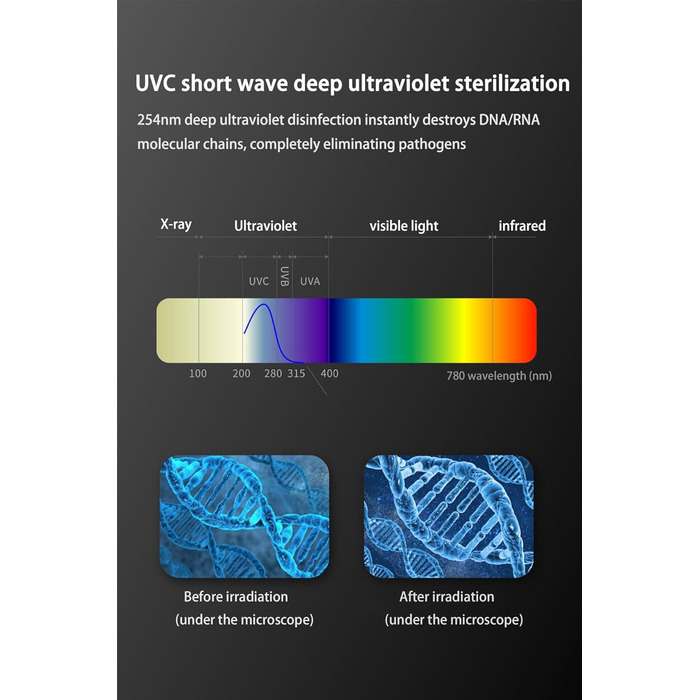 Стерилізатор зубних щіток Winnes з УФ-світлом, швидке сушіння, захист здоров'я порожнини рота для всієї родини