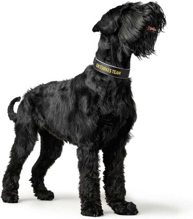 Нашийник для собак HUNTER Neopren Reflect BVB, світловідбиваючий, з підкладкою, чорний/жовтий, 55 см