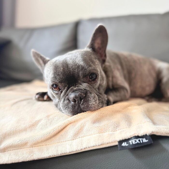 М'яка підстилка для собак та котів 60x40 см, бежева - 4L Textil