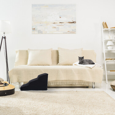 Relaxdays Dog Stairs with 3 Steps