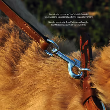 Leather Dog Lead - Training Lead - Leather Lead for Dog - Lead 3-Way Adjustable, for all Dogs (230cm, Beige)