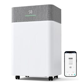 Осушувач повітря Airfish 30 л/добу, Smart WiFi, резервуар 5.5 л, авторозморожування, таймер на 24 години, 2 режими обдуву, для ванної, спальні та вітальні