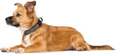 Нашийник для собак HUNTER Halsband Maldon, коричневий, дихаюча сітка, міцний нейлон, безшумний, гіпоалергенний, з полегшенням натягу, інтегрована адресна бирка, легкий, розмір S