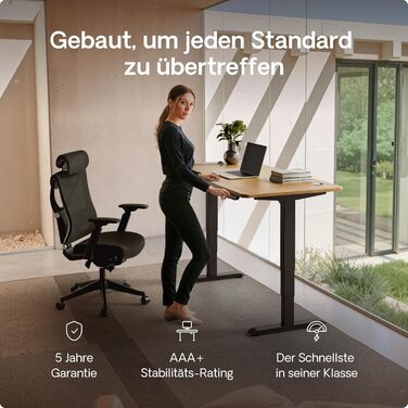 Регульований стіл Desktronic HomePro 160x80 см – електричний з USB-портами, чорний + масив дуба