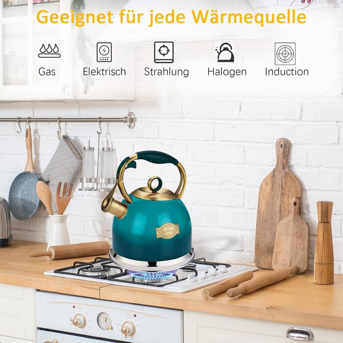 Чайник-свисток 3л з нержавіючої сталі з термостійкою ручкою, для індукційних плит (блакитний)