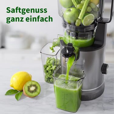 Шнекова соковижималка Entsafter Slow Juicer SJ-065, 400 Вт, XL-завантажувач 152 мм, Titanium Gray