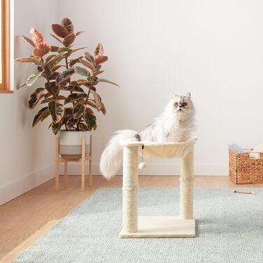 Amazon Basics Cat Scratching Post with House, Hammock, Bed, and Scratching Post, 41 x 51 x 41 cm, beige