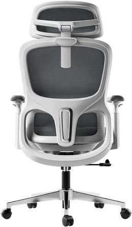 Hbada P2 Air Ergonomic Office Chair with 3D Lumbar Support, Adjustable Mesh Chair with 3D Armrests & Headrest - Home & Office Desk Chair (White, Luxury Version)