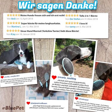 Щітка для собак BluePet 2в1 для довгої та короткої шерсті, для цуценят та котів. Розчісує, розплутує, вичісує. Універсальна щітка-щітка (Блакитна, M-L)