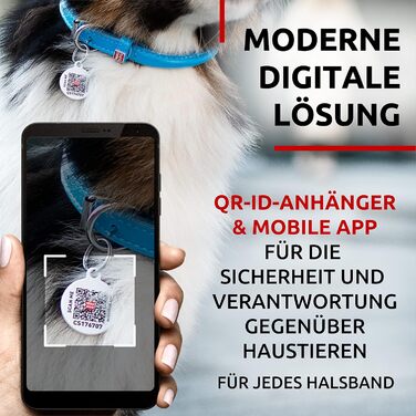 Нашийник для собак WAUDOG з натуральної шкіри, 20-25 см, 8 мм, блакитний