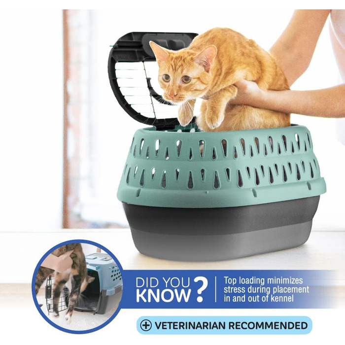 Клітка для собак та котів Petmate, пластикова, одностулкова, з фронтальним доступом, розмір L (48 x 32 x 27 см), колір зелений