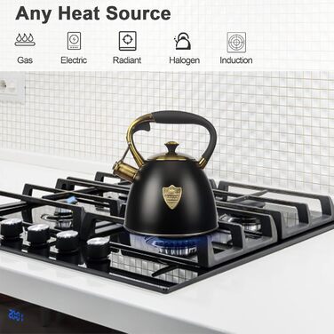 Чайник для плити Teekessel з нержавіючої сталі, 2,9 л, чорний