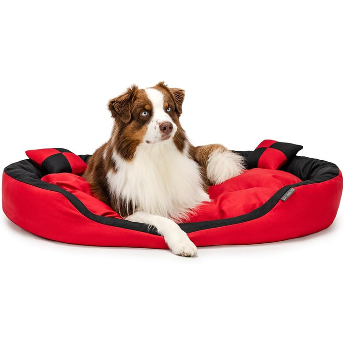 Ліжко для собак Lionto 4-в-1 з поворотним подушкою, 110x80 см, з міцного оксфорду, водовідштовхувальне, для собак та котів, з глибоким входом, з декоративною подушкою, червоно-чорне