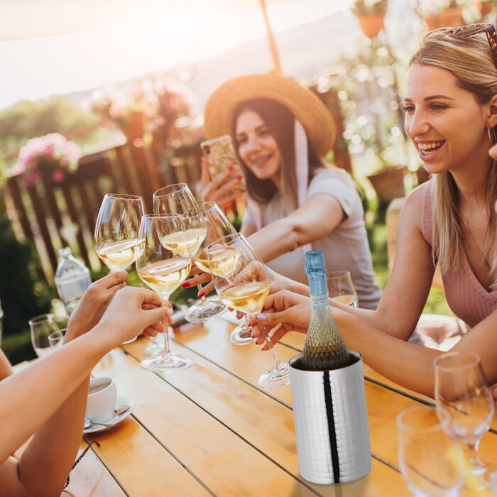 Relaxdays Stainless Steel Wine Cooler