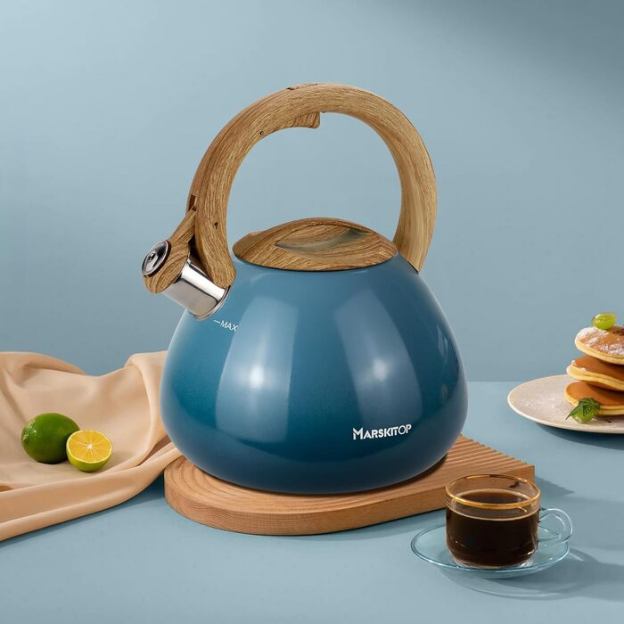 Чайник заварний з нержавіючої сталі Teekessel для плити та індукції, 2.5 л (світло-зелений)