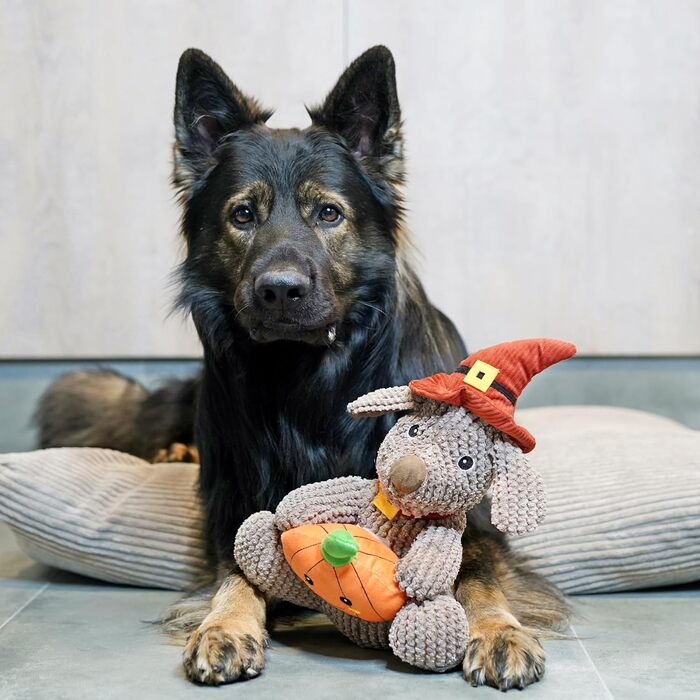 4L Textil ZOE - М'яке собаче ліжко з тканини Corduroy, 60x50 см, бежеве (смужки)