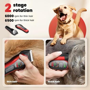 Електрична машинка для стрижки собак з густим/важким хутром, 2 швидкості, LED, акумуляторна, для собак та котів, з блокуванням, Стандартний набір