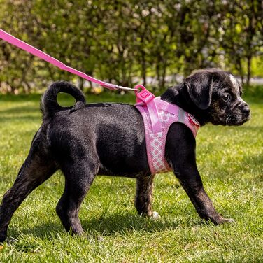 Шлейка для собак curli Clasp Air-Mesh рожева з кругами XS та поводок M