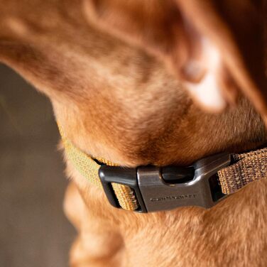 Carhartt Fully Adjustable Nylon Webbing Dog Collars, Reflective Stitching for Visibility, Coral Red (Nylon Webbing), Size L (Light Moss (Nylon Webbing), Medium)