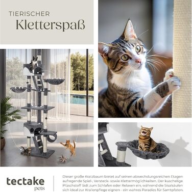 Дерево для котів Tectake, велике XXL, високе, регульоване по висоті 243-260 см, з драбиною, будиночком, тунелем, лежаком та стовпчиком з сизалю - сірий
