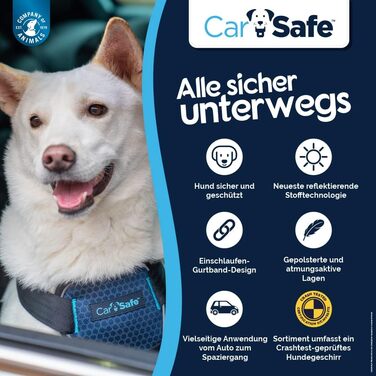 CarSafe: Автомобільний шлейка для собак, безпечний та комфортний (розмір L, Blue)