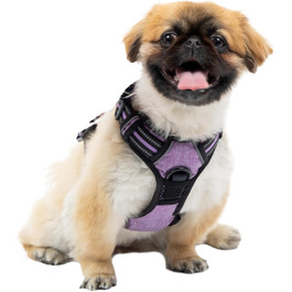 розмір: малий