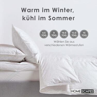 Homescapes Warm Winter Comforter, 230 cm x 220 cm, Down Comforter Heat Class 4-5 with 85% Goose Down and 15% Feathers, Down Comforter, Quilted Comforter Öko-Tex Certified 230 x 220 cm