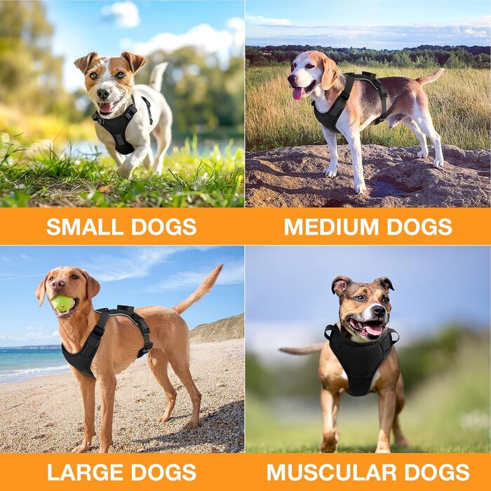 Світловідбиваючий нашийник для собак великих порід з LED підсвічуванням, акумуляторний, регульований, 3 режими освітлення, висока видимість (Чорний, XS)