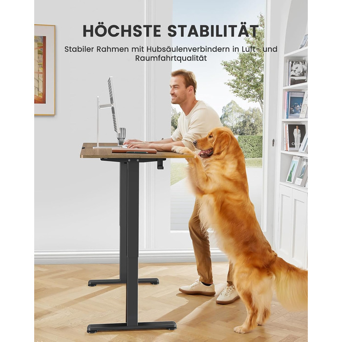 ErGear Electric Standing Desk 100x60cm - Walnut Finish, 4-Memory Smart Desk for Home Office with Mounting Plate