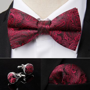 HISDERN Комплект краватки, нагрудного хустинки та запонок Paisley, з гачком, вже зав'язана, регульована, для весілля, свят, Різдва, Хелловіну (A2-Бордовий)
