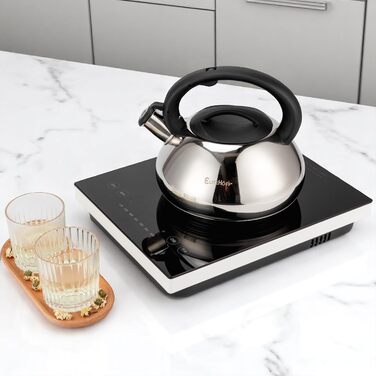 Електричний чайник EliteHoff з індукційним нагріванням, 3л, нержавіюча сталь, з автоматичним свистком, срібний, для всіх типів плит (E-5113)