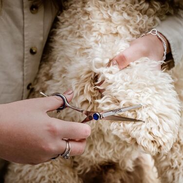 Ножиці для грумінгу собак Mikki Doodle: професійні ножиці для стрижки та формування шерсті, 19 см