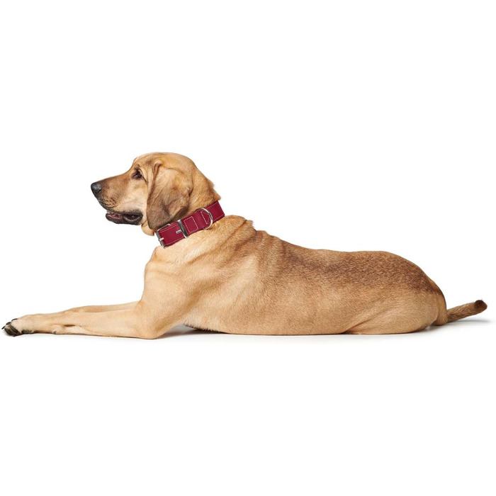 Нашийник для собак HUNTER AALBORG SPECIAL, шкіряний, міцний, комфортний, XS-S, червоний